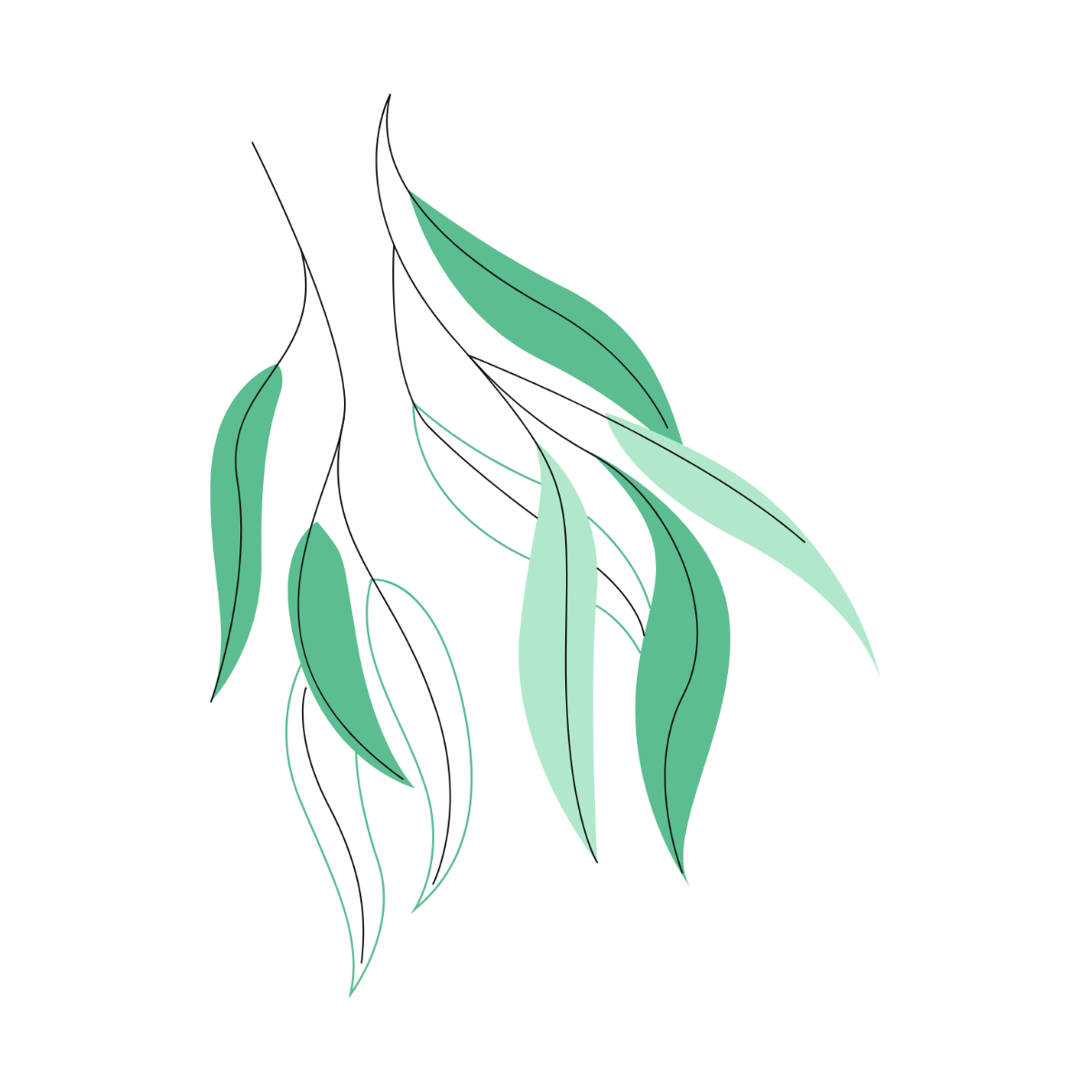 Willow Leaves Vector