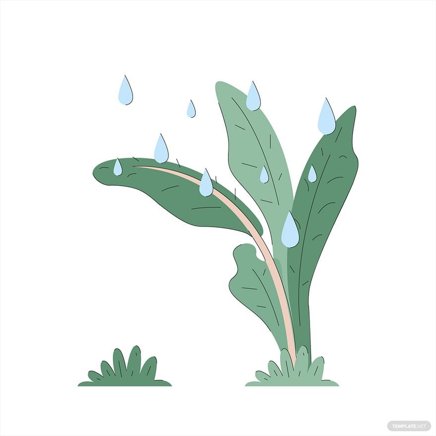 Raindrop Leaves Vector
