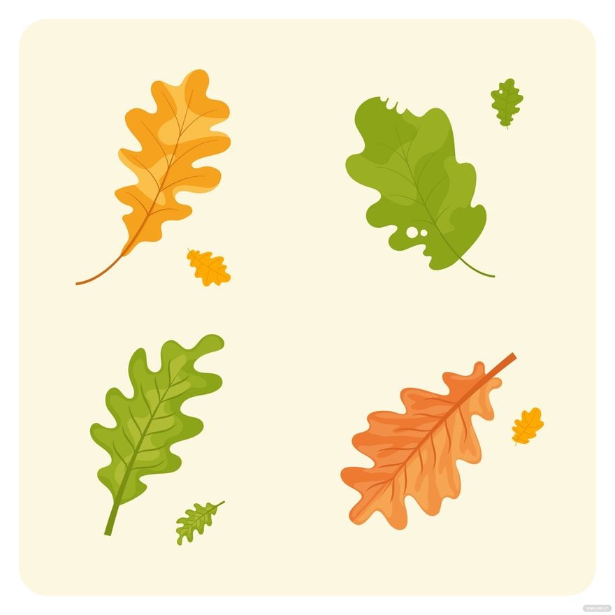 Oak Leaf Vector in Illustrator, EPS, SVG, JPG, PNG