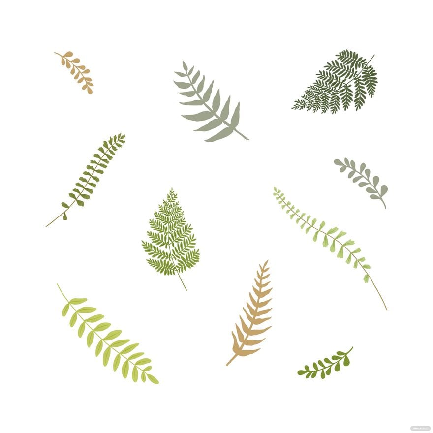 Fern Leaf Vector in Illustrator, EPS, SVG, JPG, PNG
