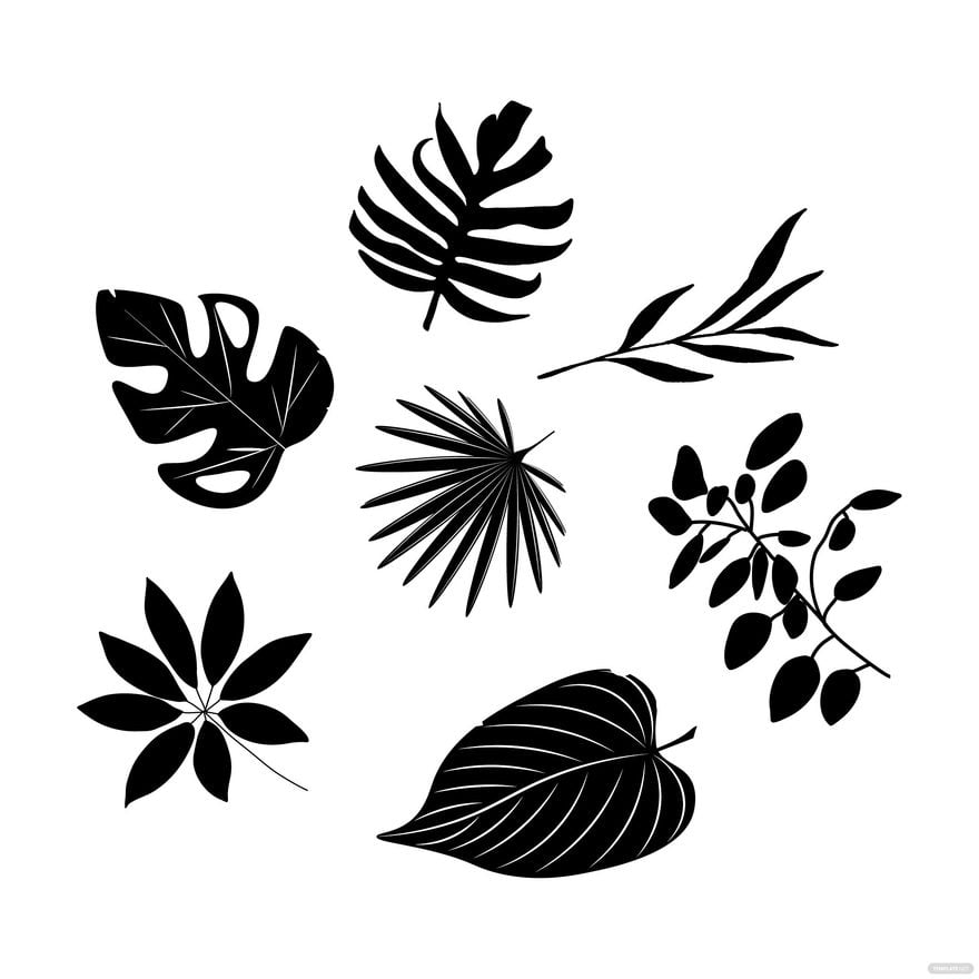 Black And White Leaf Vector in Illustrator, EPS, SVG, JPG, PNG