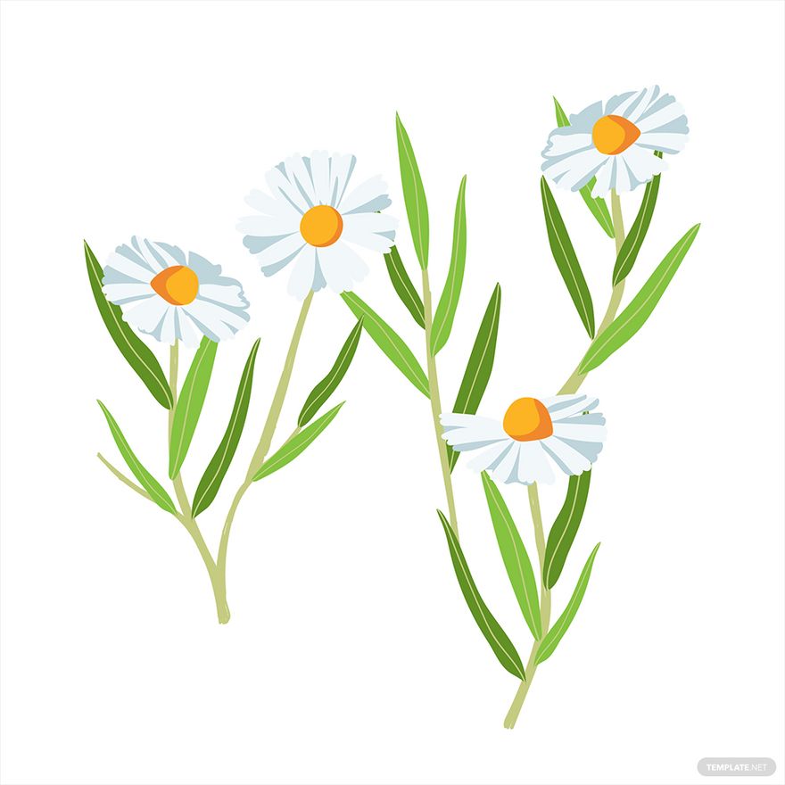 FREE Daisy Template Download in PDF, Illustrator, EPS, SVG, JPG, PNG