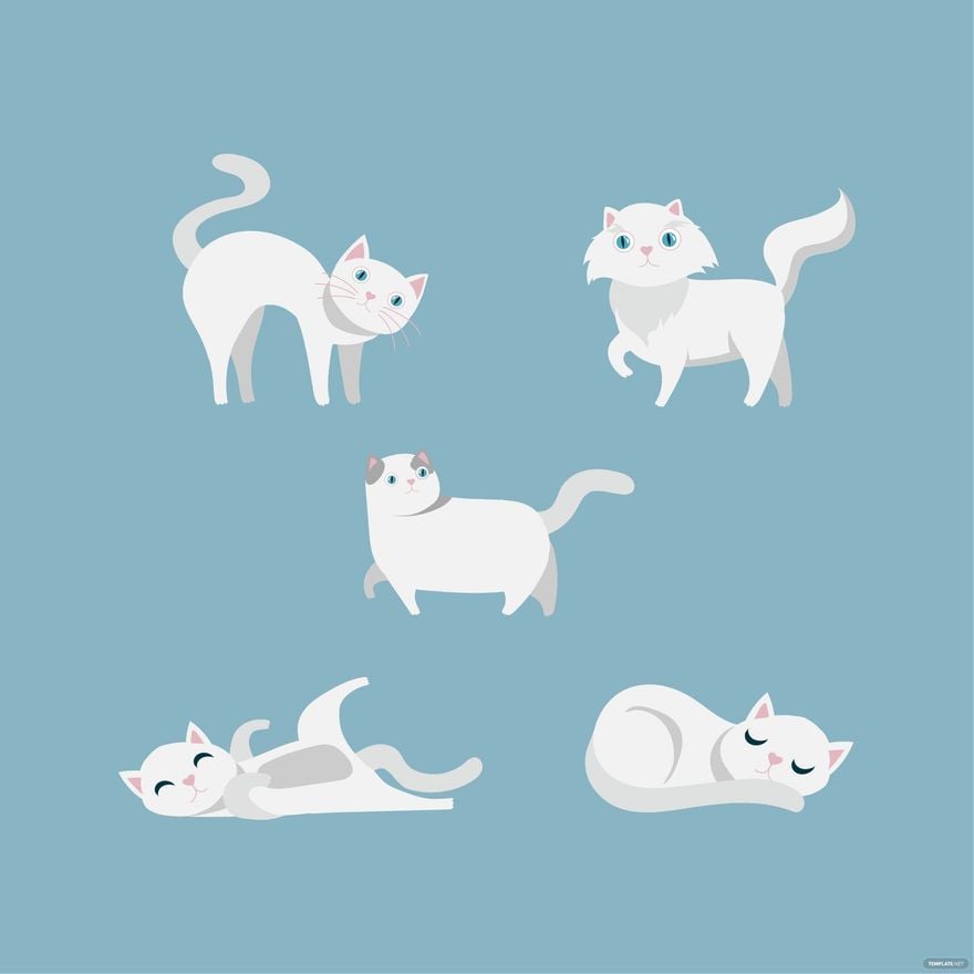 Free White Cat Vector