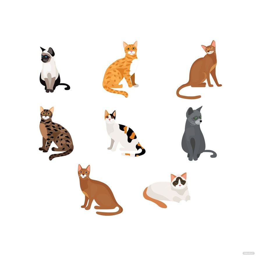 Cat Sitting Vector in Illustrator, EPS, SVG, JPG, PNG