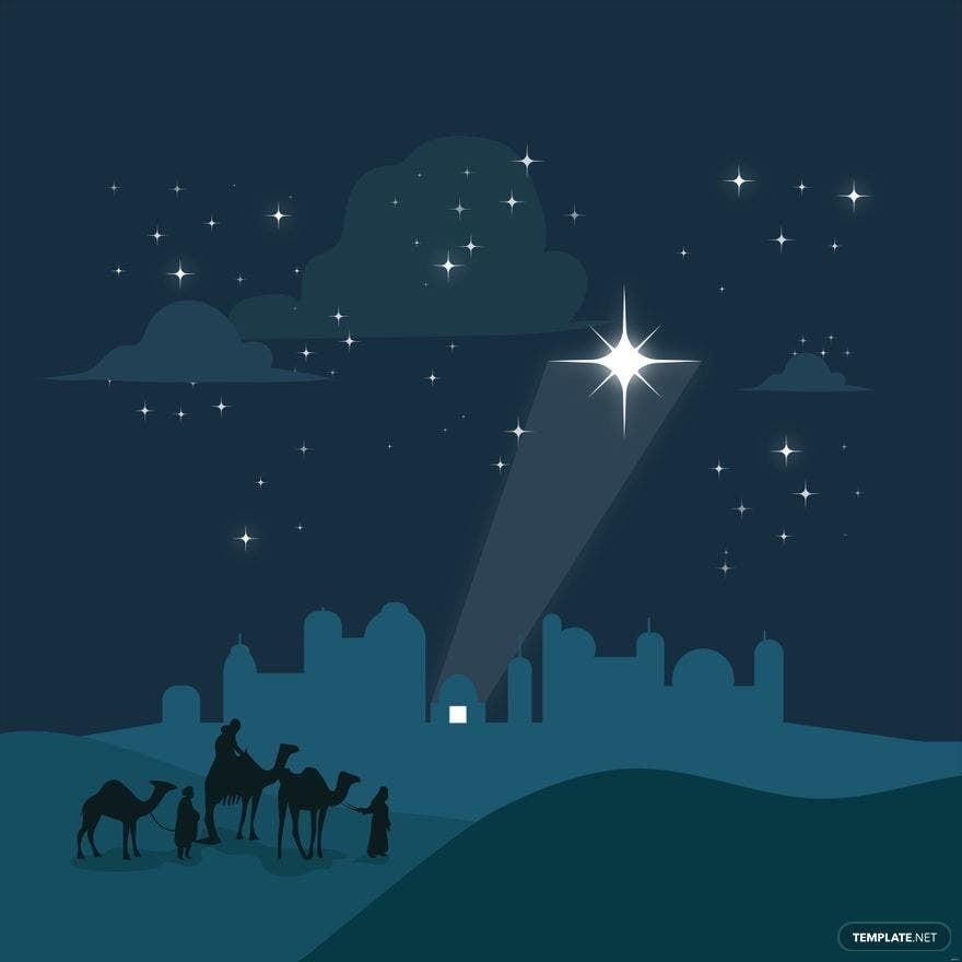 Christmas Star Illustration