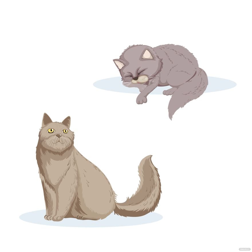 Fluffy Cat Vector in Illustrator, EPS, SVG, JPG, PNG