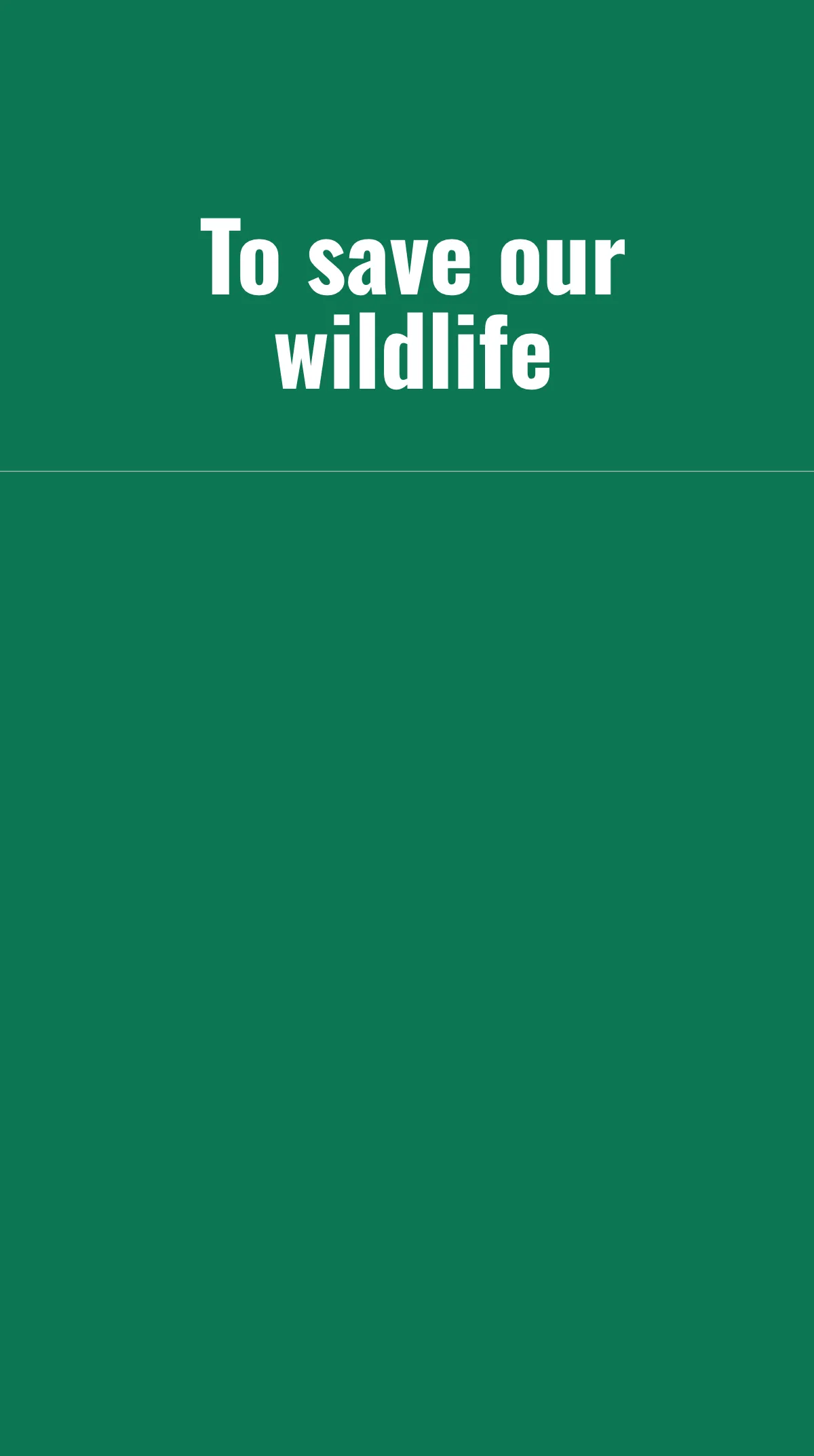 Free Wildlife Conservation Day Instagram Story Template to Edit Online