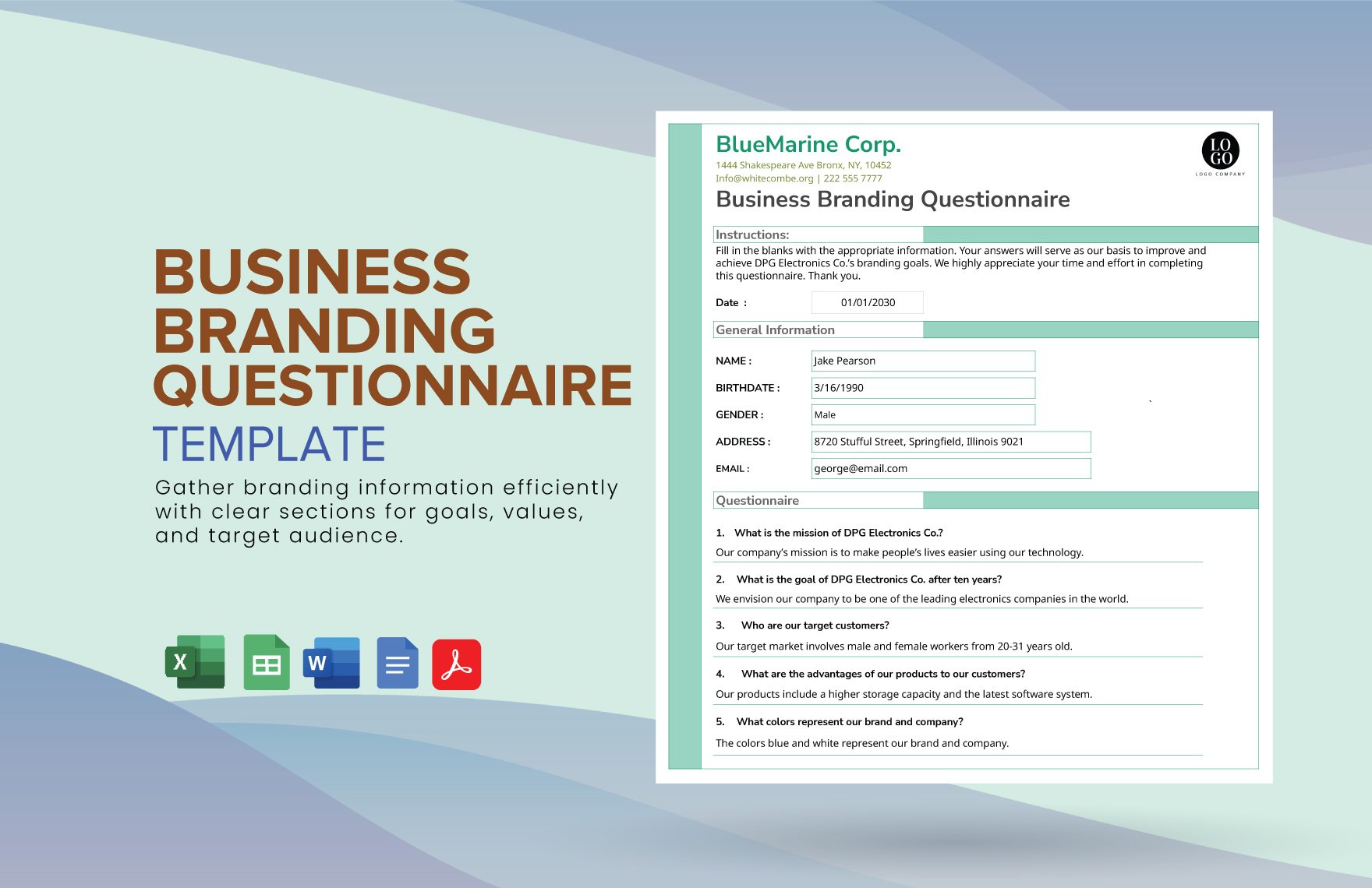 Business Branding Questionnaire Template in Word, Google Docs, Excel, PDF, Google Sheets