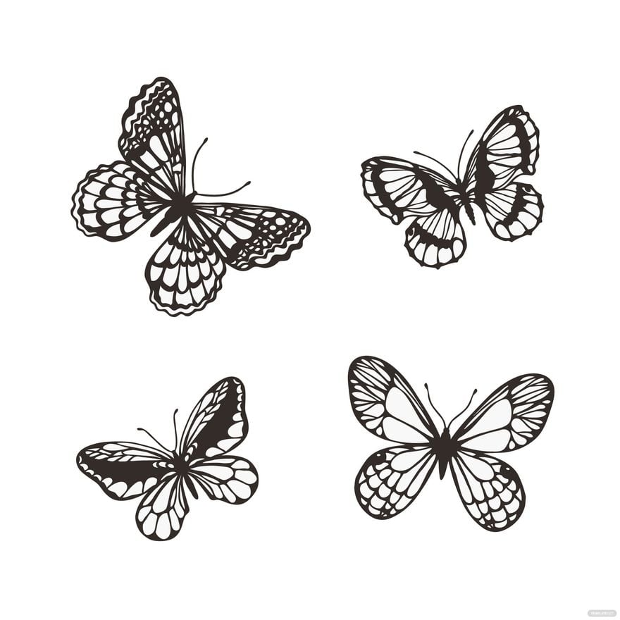 Free White Butterfly Vector