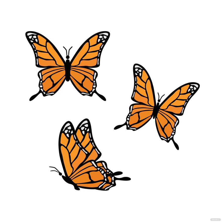 Monarch Butterfly SVG, PNG, PDF, Butterfly Bundle, Butterflies PNG