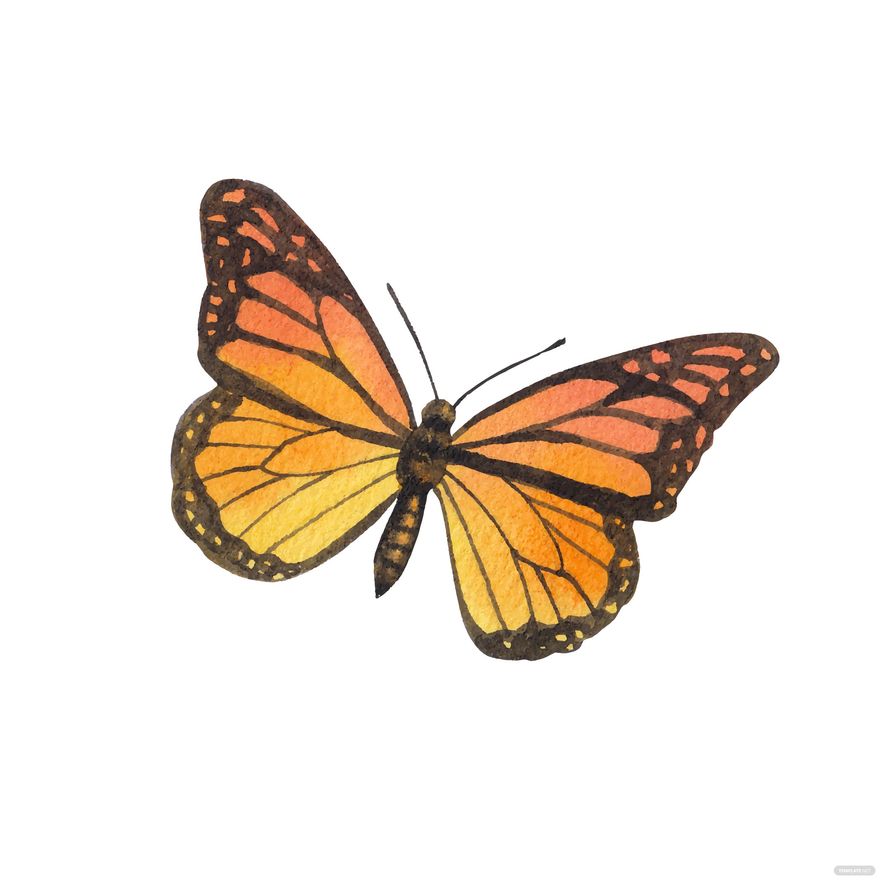 Orange Butterfly Vector in Illustrator, EPS, SVG, JPG, PNG