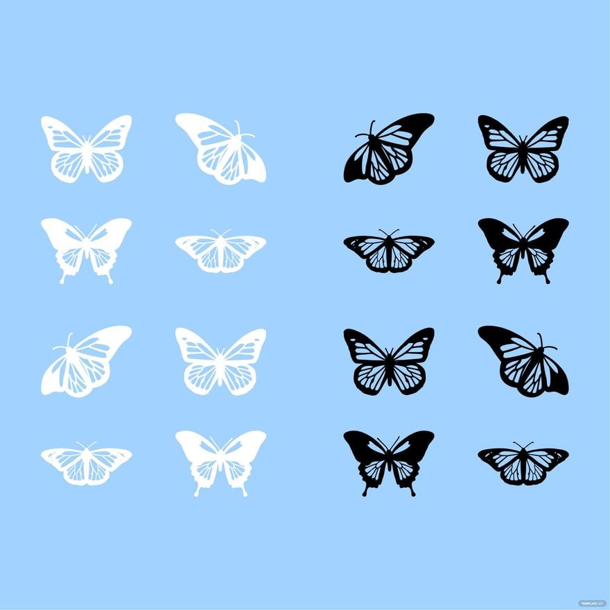 Black and White Butterfly Vector