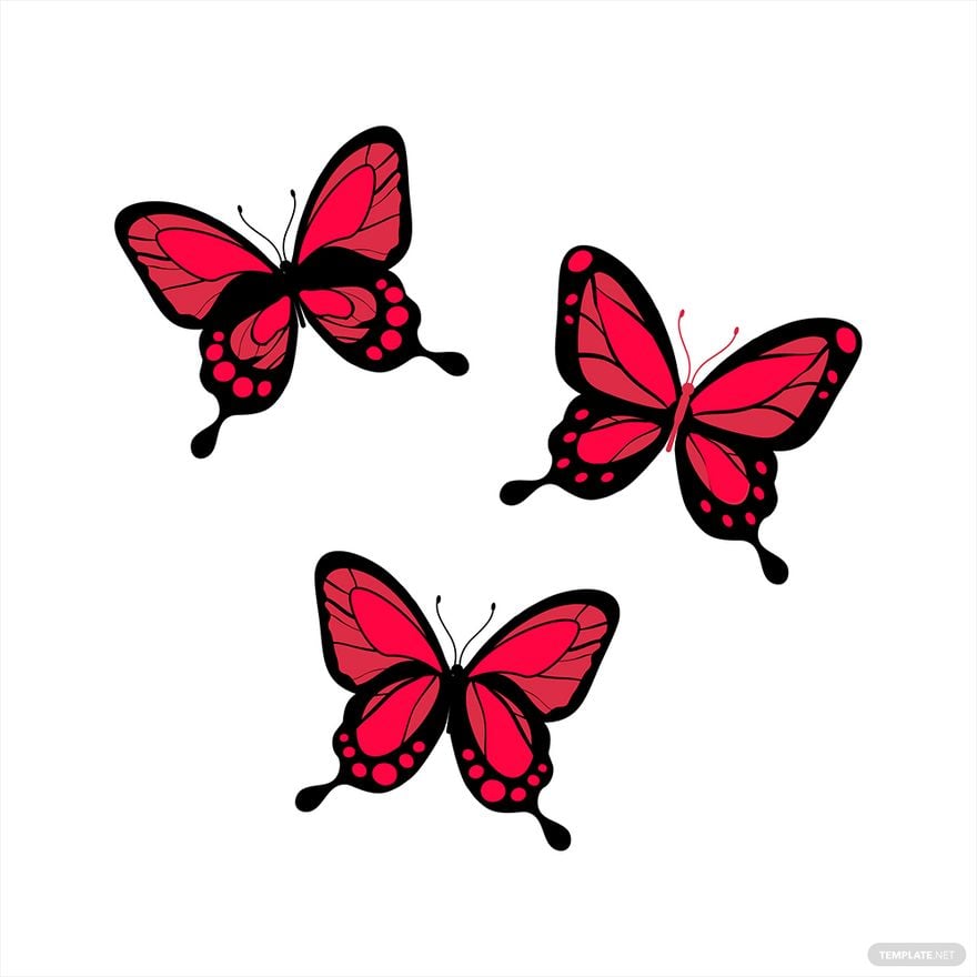 Black and Red Butterfly Vector