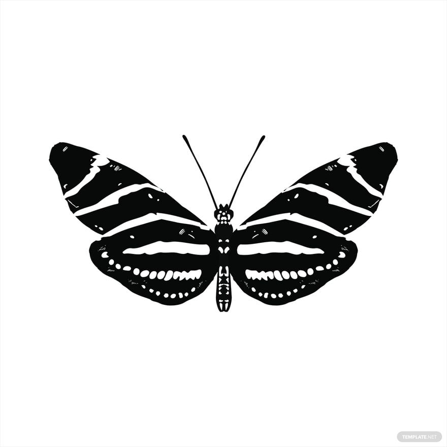 Free Zebra Butterfly Vector in Illustrator, EPS, SVG, JPG, PNG