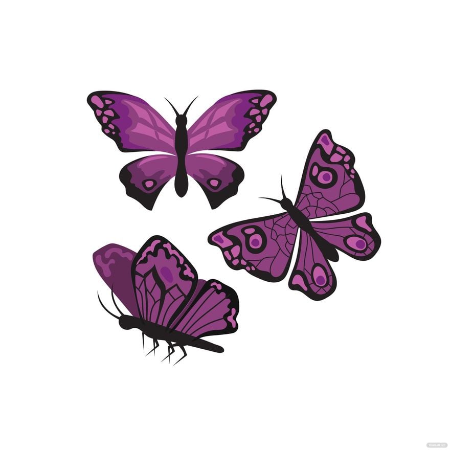 Free Purple Butterfly Vector - Download in Illustrator, EPS, SVG, JPG