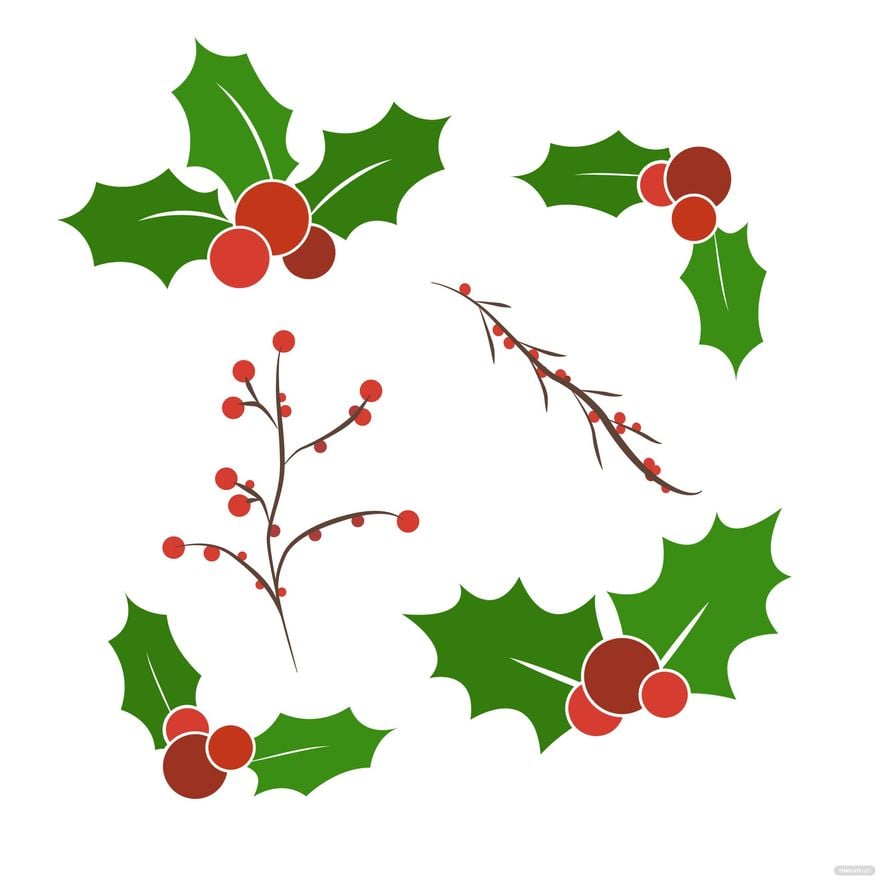 Free Christmas Holly Vector in Illustrator, EPS, SVG, JPG, PNG