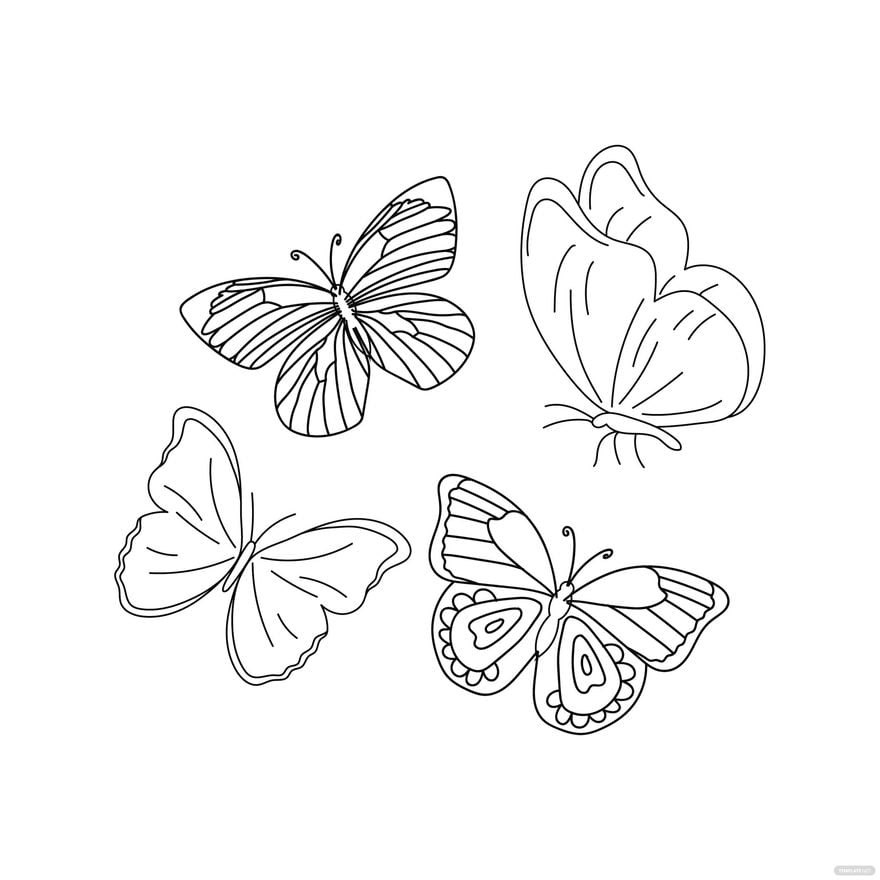 Butterfly Outline Vector in Illustrator, EPS, SVG, JPG, PNG