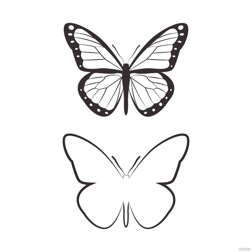 Transparent Butterfly Vector in Illustrator, EPS, SVG, JPG, PNG