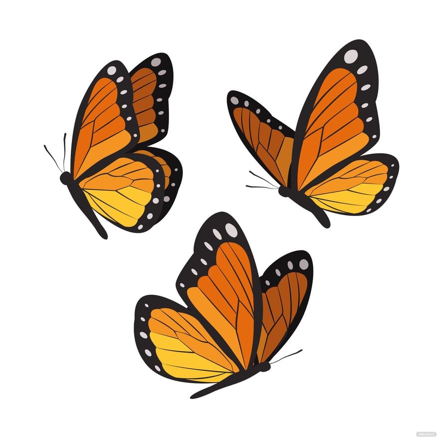 Monarch Butterfly Side View Vector Illustration Isolated On White  Background Stock Illustration - Download Image Now - iStock