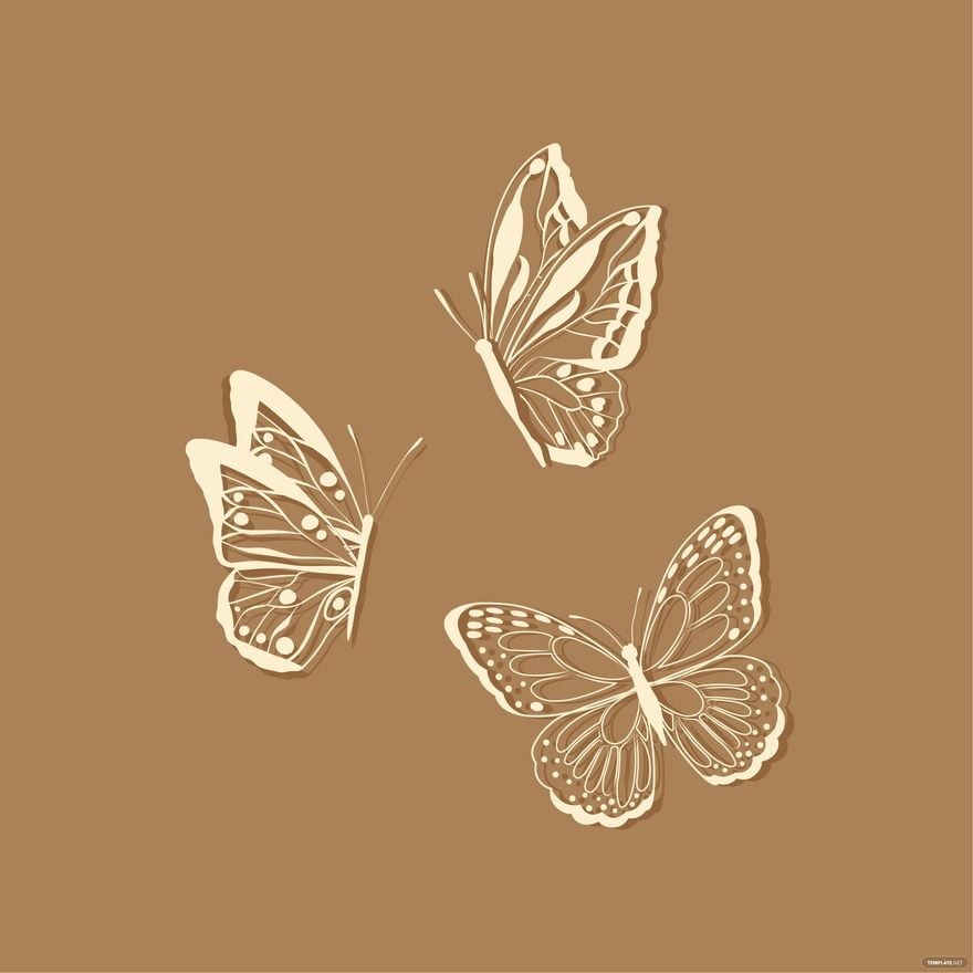 Lace Butterfly Vector
