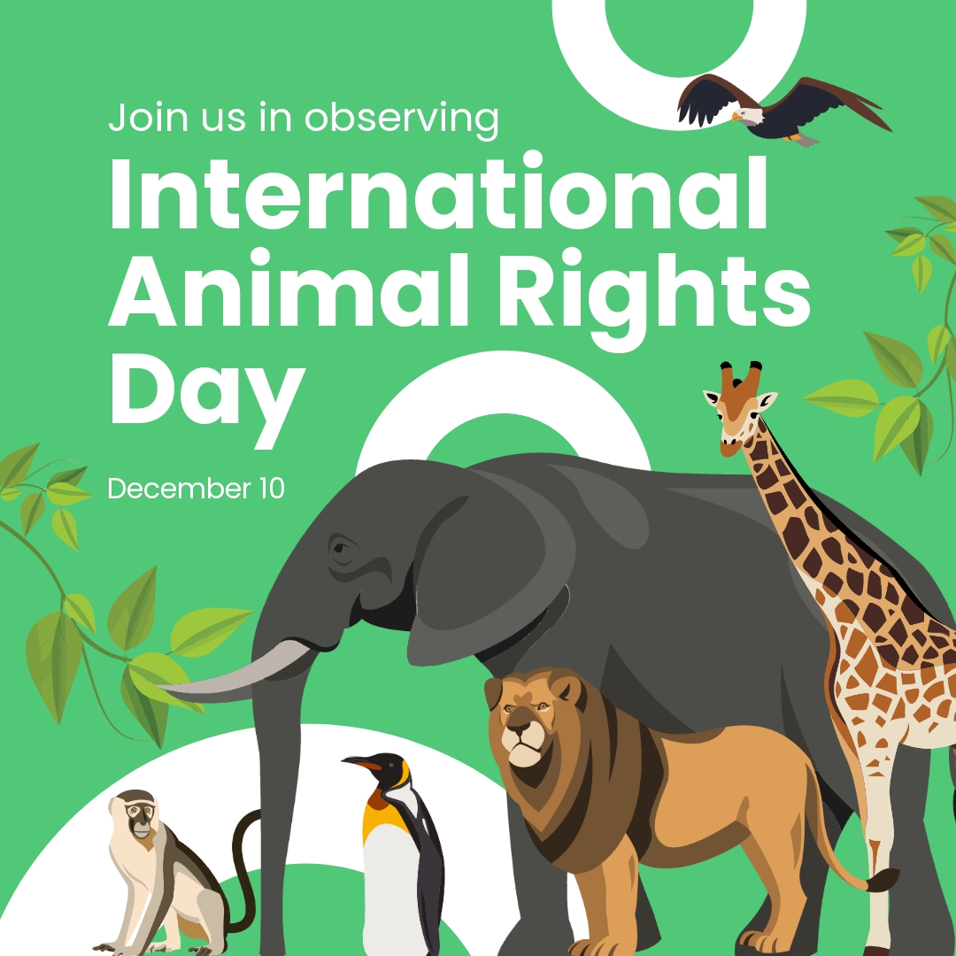 Free International Animal Rights Day Instagram Post Template 