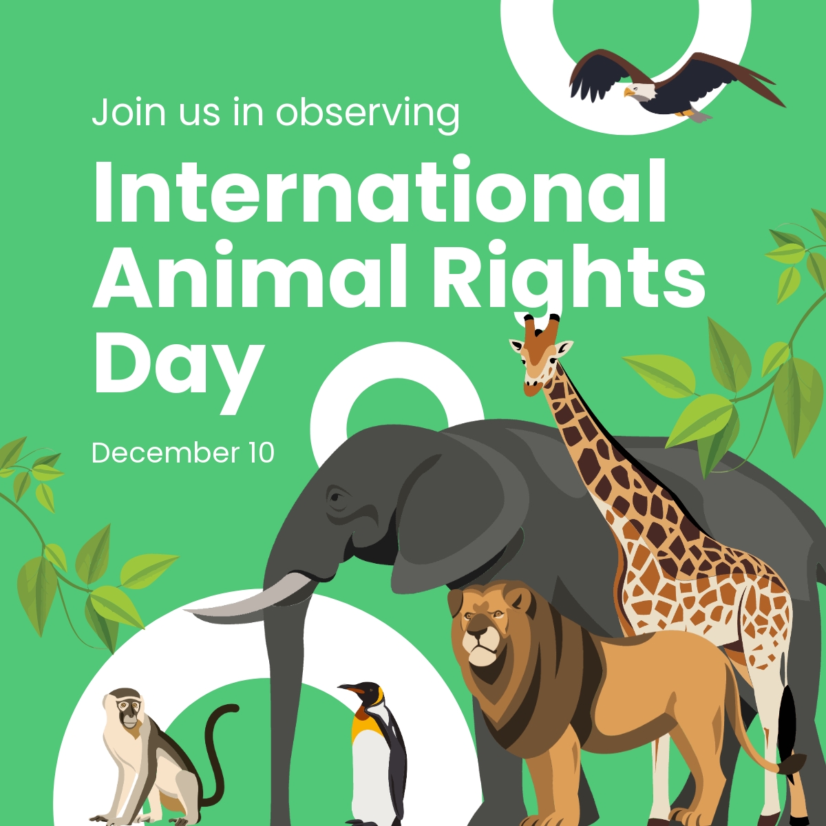 Free International Animal Rights Day Linkedin Post Template 