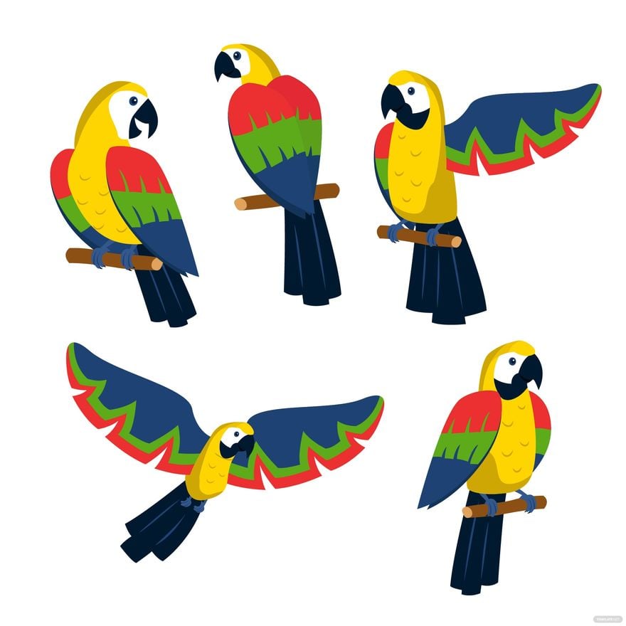 Parrot Vector in Illustrator, EPS, SVG, JPG, PNG