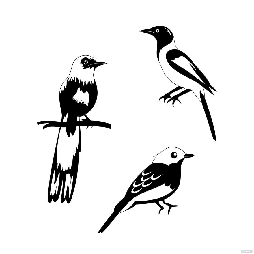 Free Black and White Bird Vector