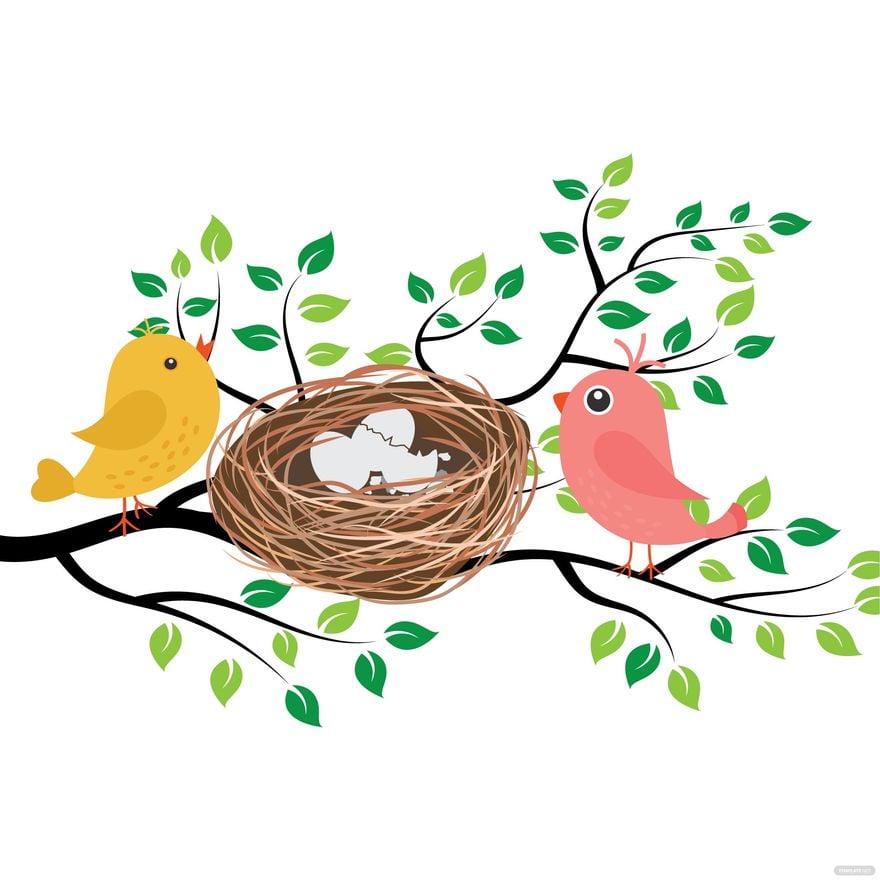 Free Bird Nest Vector