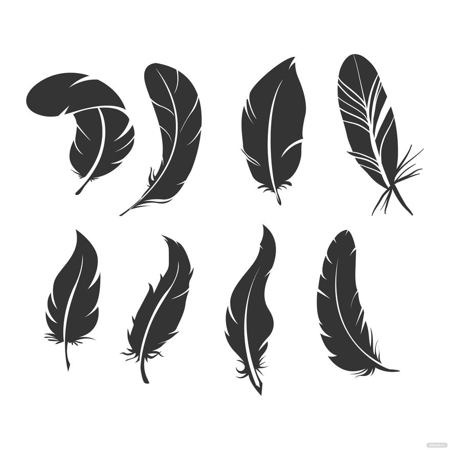 Bird Feather Vector in Illustrator, EPS, SVG, JPG, PNG