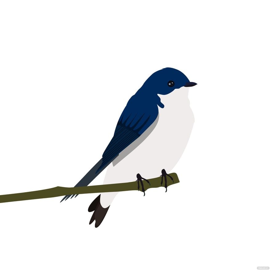 Swallow Bird Vector in Illustrator, EPS, SVG, JPG, PNG