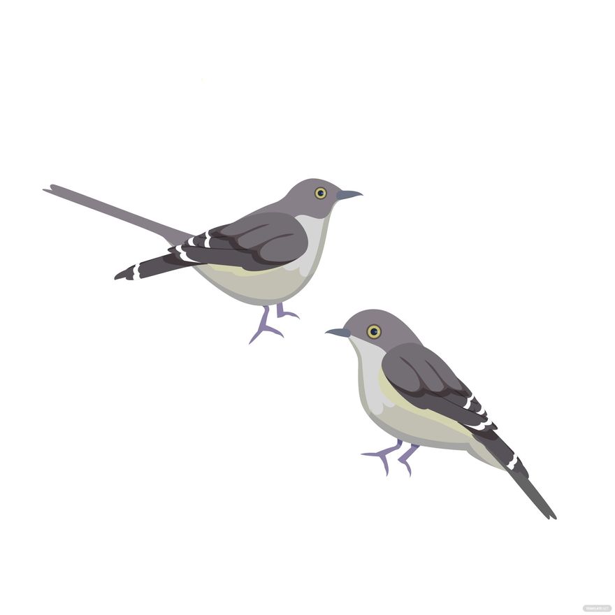 Mockingbird Vector in Illustrator, EPS, SVG, JPG, PNG