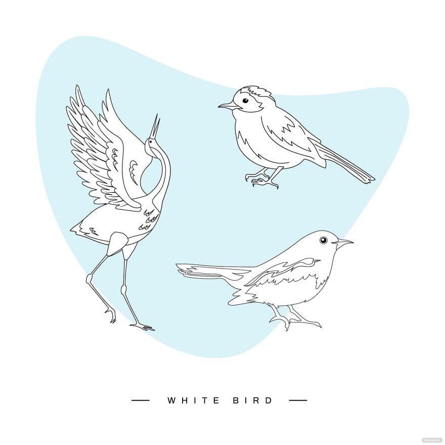 White Bird Vector in Illustrator, EPS, SVG, JPG, PNG