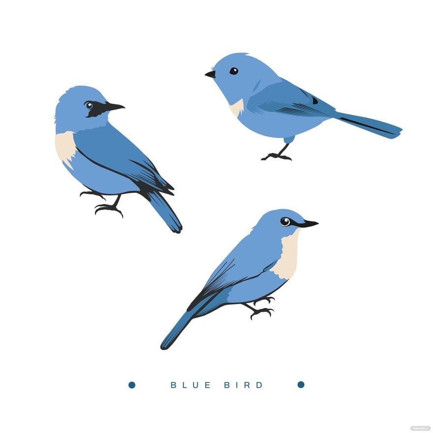 Blue Bird Vector in Illustrator, EPS, SVG, JPG, PNG
