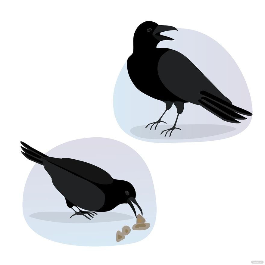 Crow Vector in Illustrator, EPS, SVG, JPG, PNG
