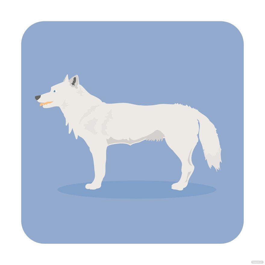 Free White Wolf Vector