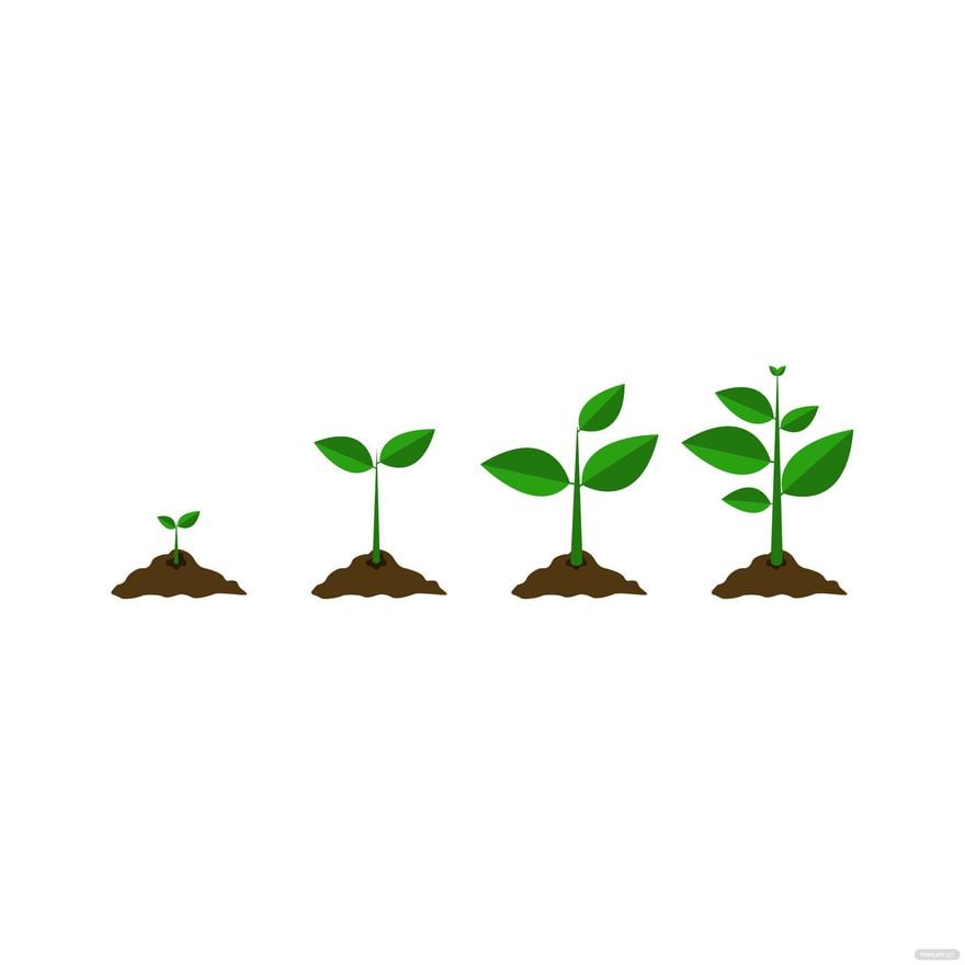 Seedling Growth Vector
