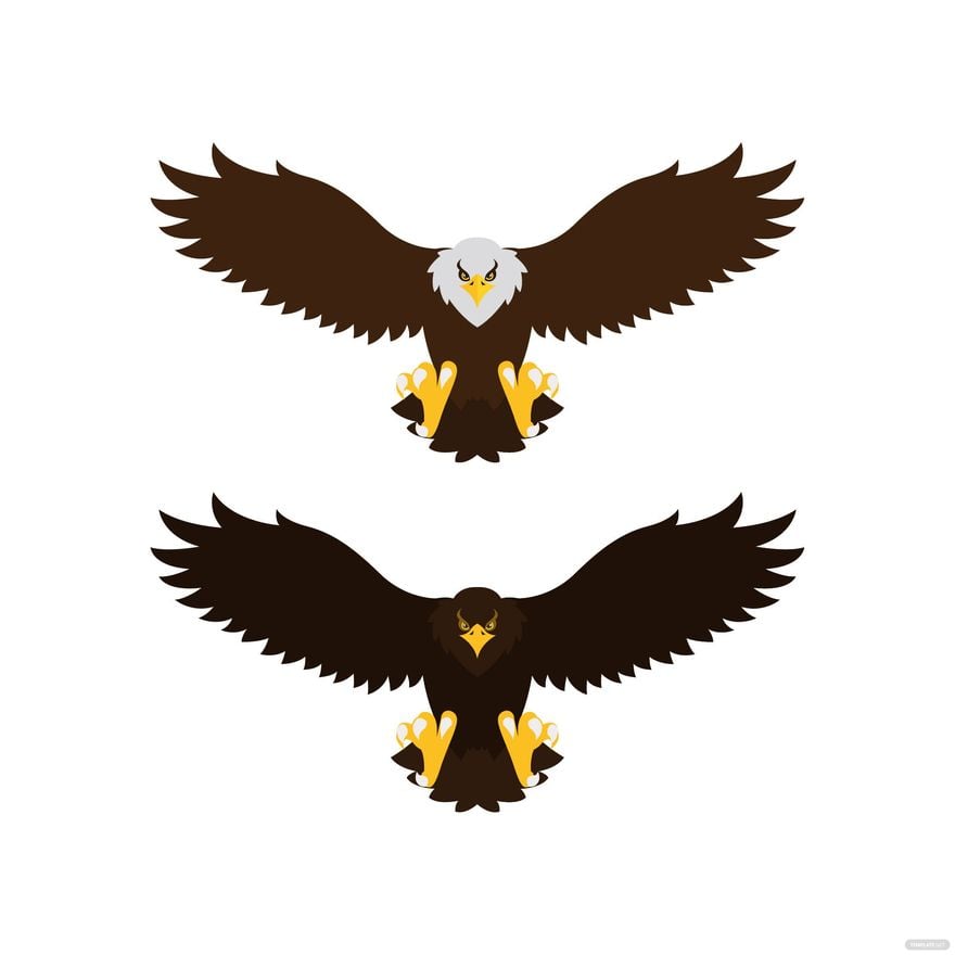 Eagle Vector in Illustrator, EPS, SVG, JPG, PNG