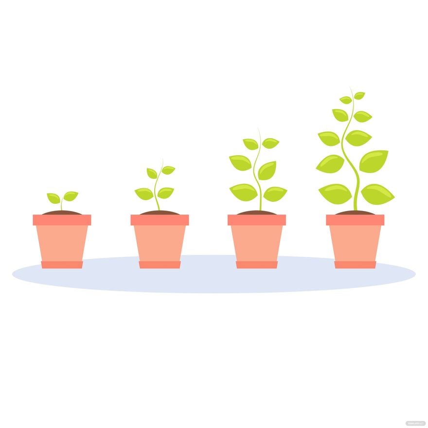 Free Plant Growth Vector