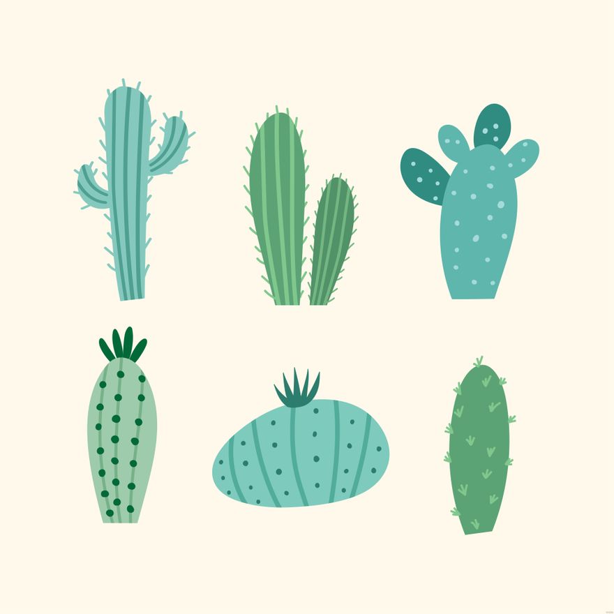 Cactuses Illustration
