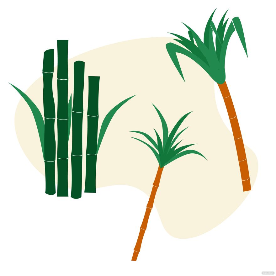 Free Sugarcane Vector - EPS, Illustrator, JPG, PNG, SVG 