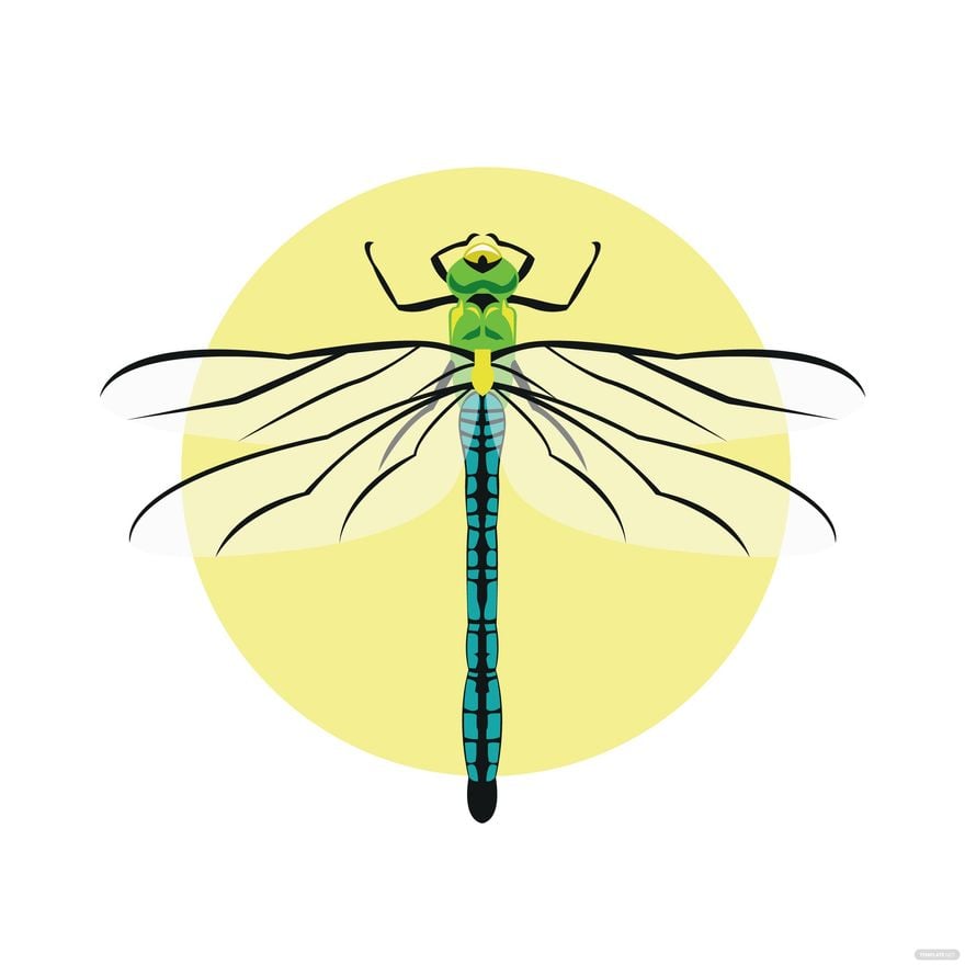 Free Dragonfly Vector in Illustrator, EPS, SVG, JPG, PNG