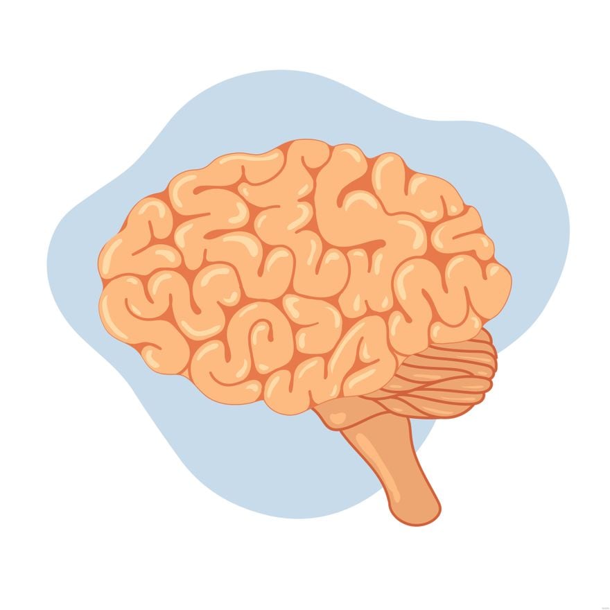 Brain Medical Illustration in Illustrator, EPS, SVG, JPG, PNG
