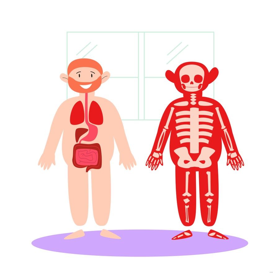 Free Anatomy Illustration - EPS, Illustrator, JPG, PNG, SVG 