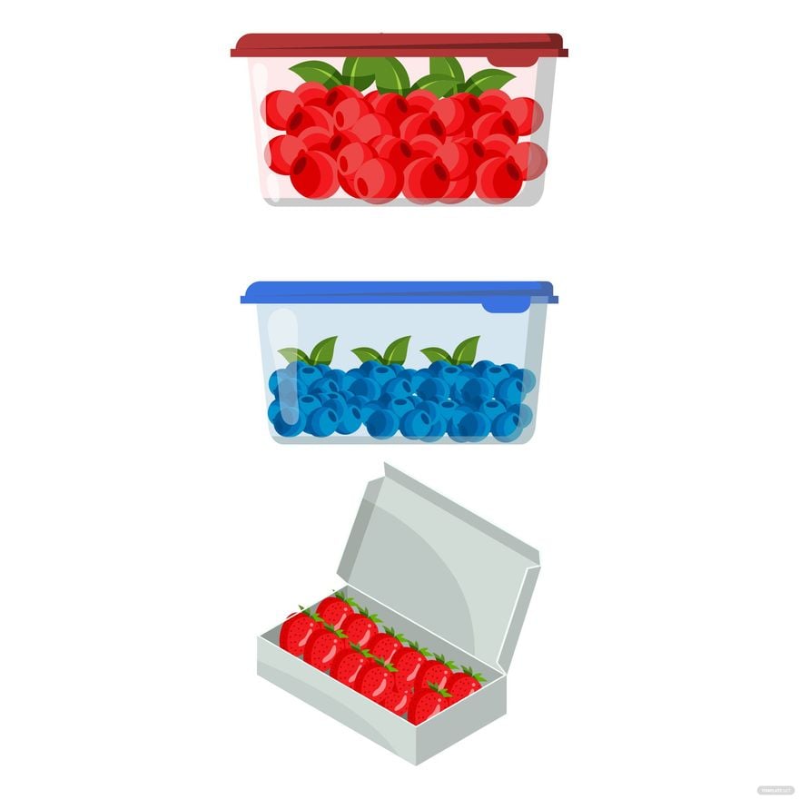 Fruit Packaging Vector