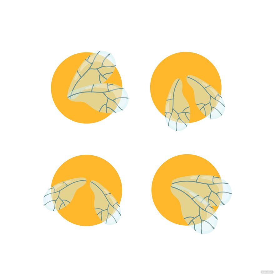 Free Bee Wings Vector EPS, Illustrator, JPG, PNG, SVG