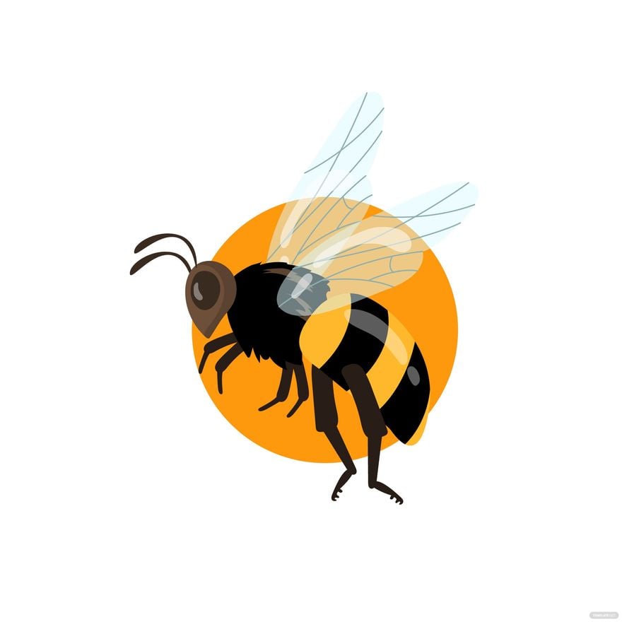 Free Side Bee Vector - EPS, Illustrator, JPG, PNG, SVG 