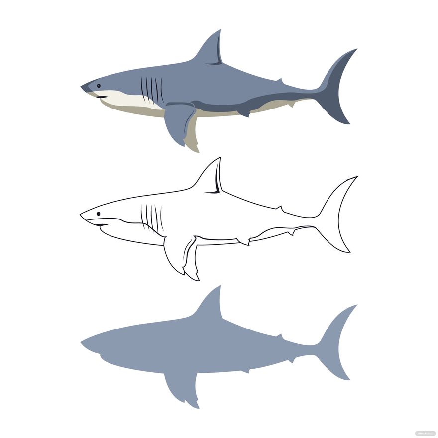 Shark Vector in Illustrator, EPS, SVG, JPG, PNG