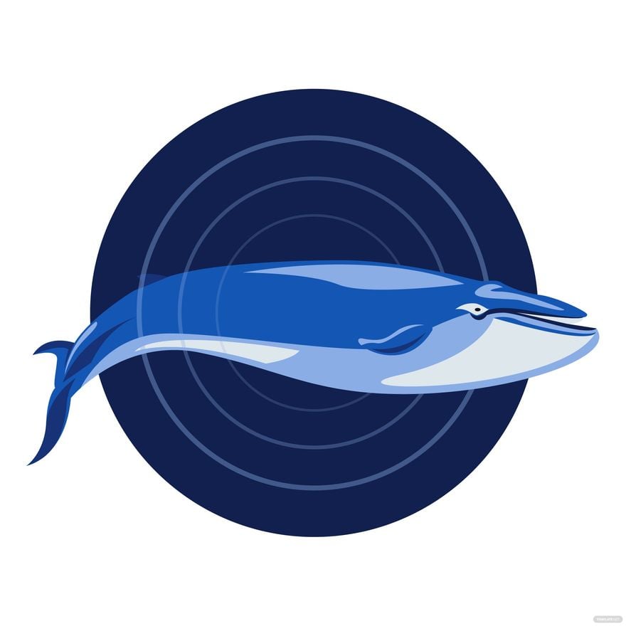 Whale Fish Vector in Illustrator, EPS, SVG, JPG, PNG