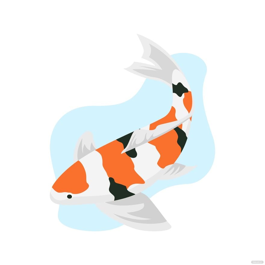 Koi Fish Vector in Illustrator, EPS, SVG, JPG, PNG